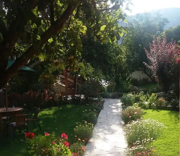 Iorana Urubamba